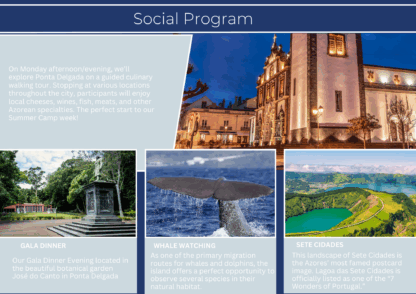 Social Program Only