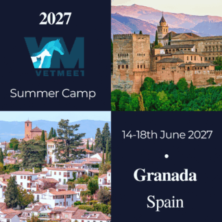 2027 Summer Camp