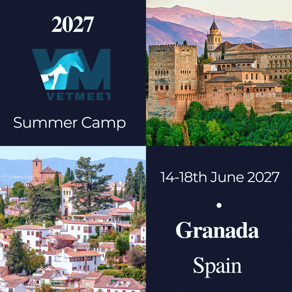2027 Summer Camp